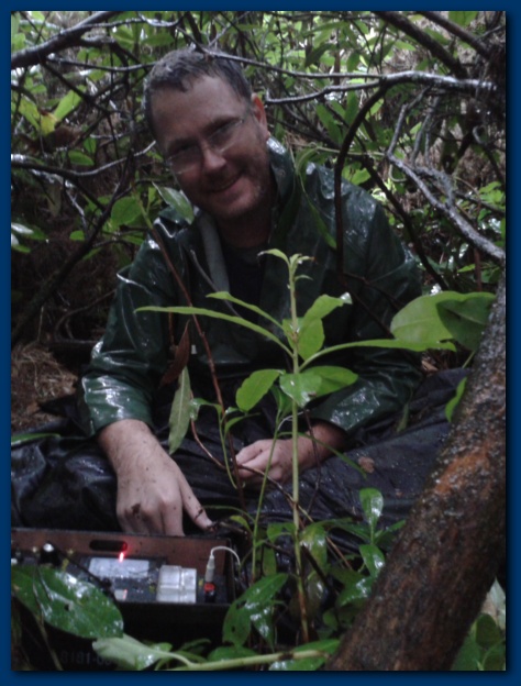 474x624 pixels (118K)